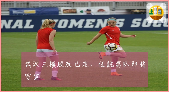 武汉三镇股改已定，任航离队即将官宣
