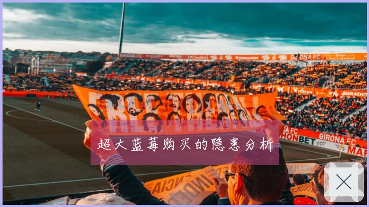 超大蓝莓购买的隐患分析
