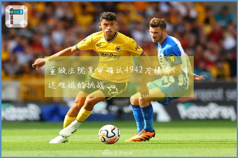 董璇法院复审确认4942万债务，命运难逃的挑战