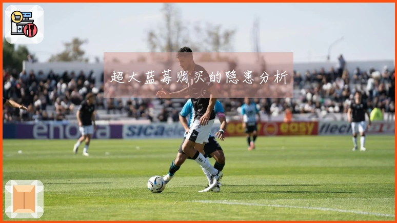 超大蓝莓购买的隐患分析