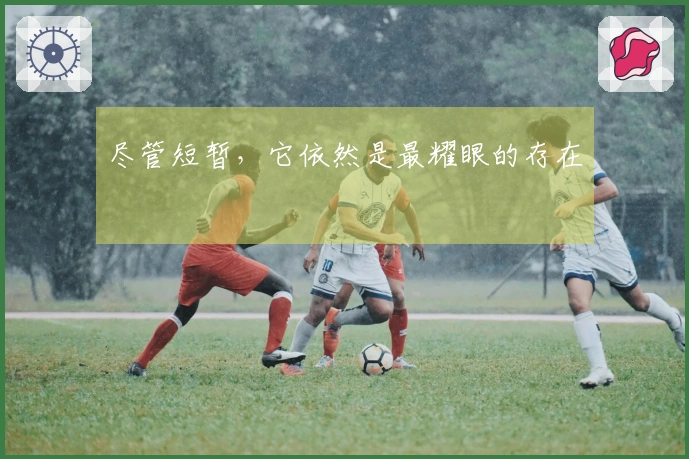 尽管短暂，它依然是最耀眼的存在